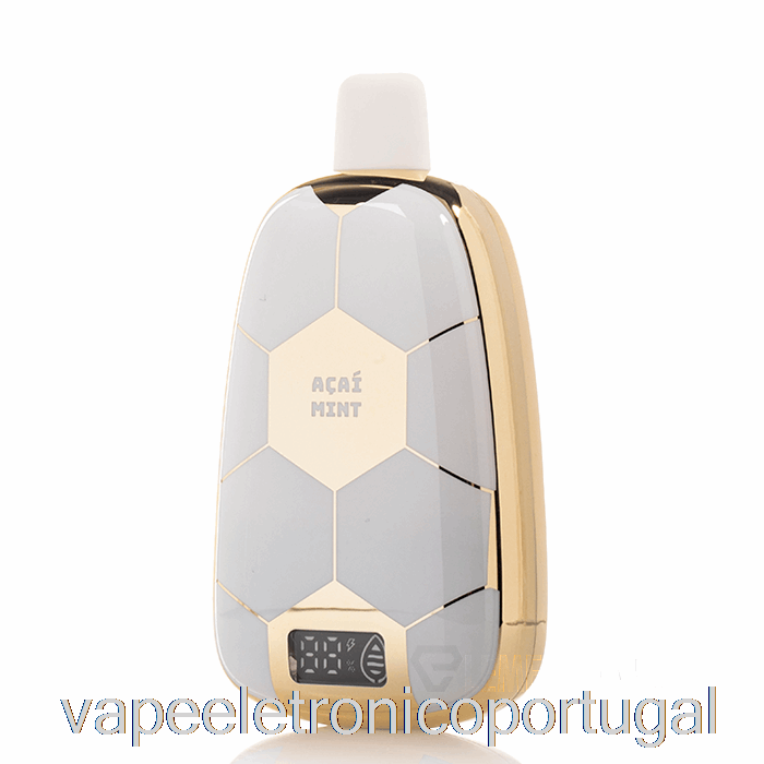 Vape Eletrônico Ronaldinho 10 15k Descartável Açaí Mint